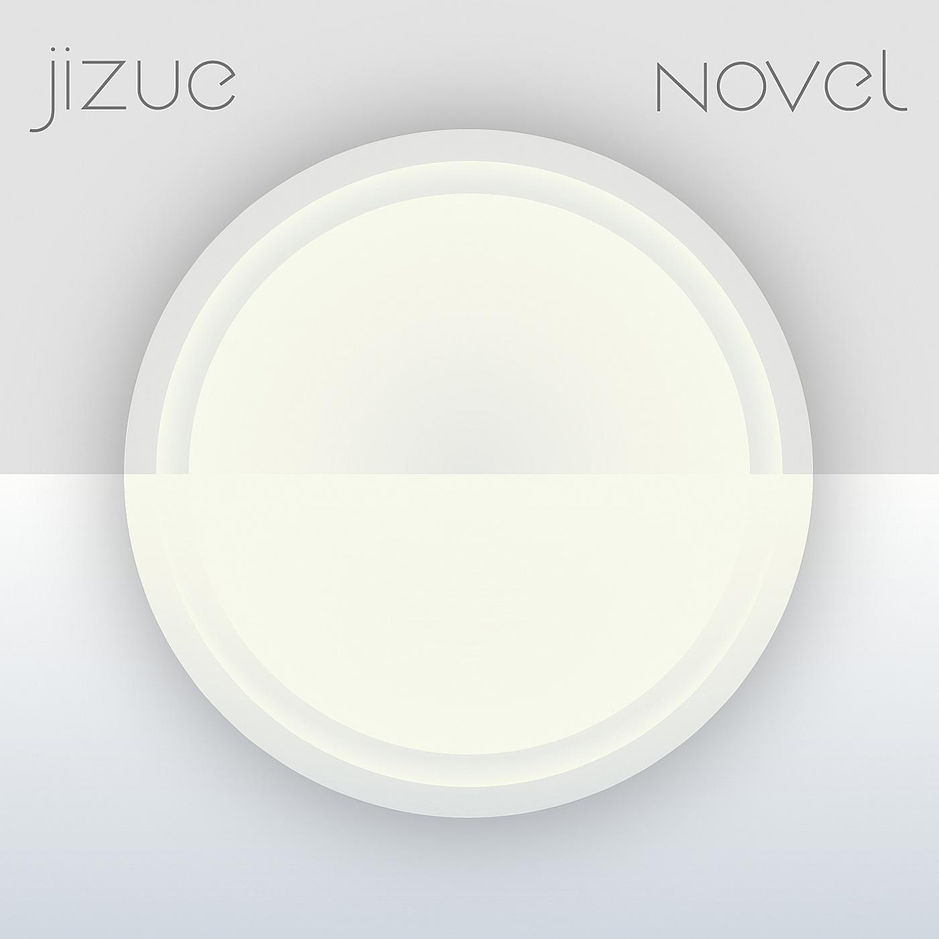novel