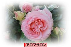 にほんブログ村 美容ブログ アロマサロンへ