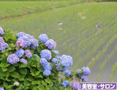 にほんブログ村 美容ブログ 美容室・サロンへ