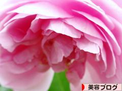 にほんブログ村 美容ブログへ