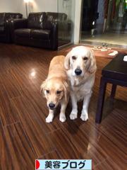 にほんブログ村 美容ブログへ