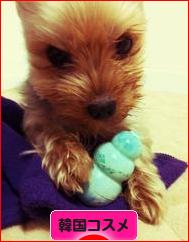 にほんブログ村 美容ブログ 韓国コスメへ