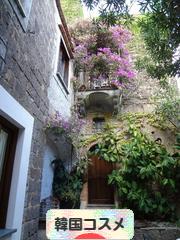 にほんブログ村 美容ブログ 韓国コスメへ