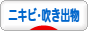 にほんブログ村 美容ブログ ニキビ・吹き出物へ