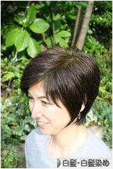 にほんブログ村 美容ブログ 白髪・白髪染めへ