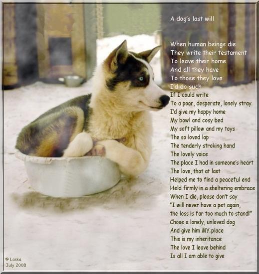 A Dog's Last Will (c) Laska