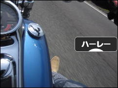 にほんブログ村 バイクブログ ハーレーダビッドソンへ