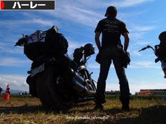 にほんブログ村 バイクブログ ハーレーダビッドソンへ