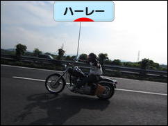 にほんブログ村 バイクブログ ハーレーダビッドソンへ