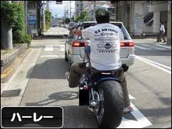 にほんブログ村 バイクブログ ハーレーダビッドソンへ