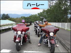 にほんブログ村 バイクブログ ハーレーダビッドソンへ