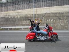 にほんブログ村 バイクブログ ハーレーダビッドソンへ