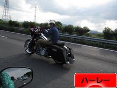 にほんブログ村 バイクブログ ハーレーダビッドソンへ