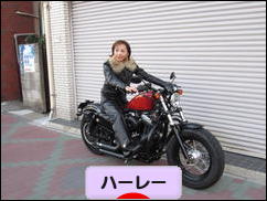 にほんブログ村 バイクブログ ハーレーダビッドソンへ