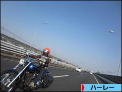 にほんブログ村 バイクブログ ハーレーダビッドソンへ