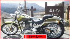 にほんブログ村 バイクブログ ハーレーダビッドソンへ