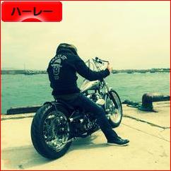 にほんブログ村 バイクブログ ハーレーダビッドソンへ