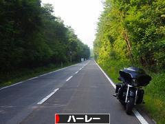 にほんブログ村 バイクブログ ハーレーダビッドソンへ