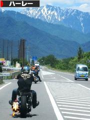 にほんブログ村 バイクブログ ハーレーダビッドソンへ