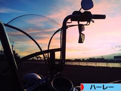 にほんブログ村 バイクブログ ハーレーダビッドソンへ