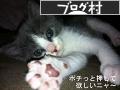 にほんブログ村 バイクブログ 女性ライダーへ
