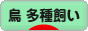 にほんブログ村 鳥ブログ 鳥 多種飼いへ