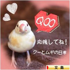 クーとムギ 新しい白文鳥 名前は ぶんちょーずの日常