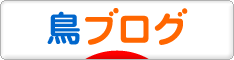 にほんブログ村 鳥ブログへ