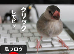 にほんブログ村 鳥ブログへ