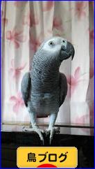 にほんブログ村 鳥ブログへ
