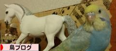 にほんブログ村 鳥ブログへ
