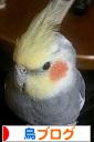 にほんブログ村 鳥ブログへ