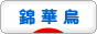 にほんブログ村 鳥ブログ 錦華鳥へ