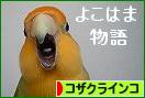 にほんブログ村 鳥ブログ コザクラインコへ