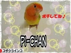 にほんブログ村 鳥ブログ コザクラインコへ