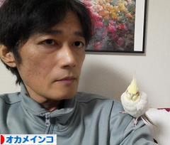 にほんブログ村 鳥ブログ オカメインコへ