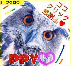 にほんブログ村 鳥ブログ フクロウへ