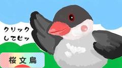 にほんブログ村 鳥ブログ 桜文鳥へ