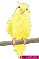 にほんブログ村 鳥ブログ セキセイインコへ