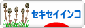 にほんブログ村 鳥ブログ セキセイインコへ