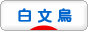 にほんブログ村 鳥ブログ 白文鳥へ