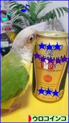 にほんブログ村 鳥ブログ ウロコインコへ