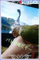 にほんブログ村 鳥ブログ ウロコインコへ