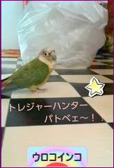 にほんブログ村 鳥ブログ ウロコインコへ