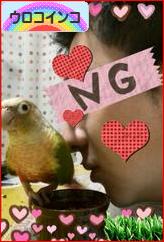 にほんブログ村 鳥ブログ ウロコインコへ