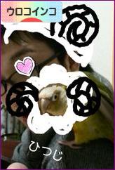 にほんブログ村 鳥ブログ ウロコインコへ