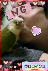 にほんブログ村 鳥ブログ ウロコインコへ