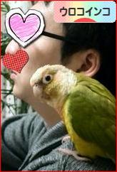 にほんブログ村 鳥ブログ ウロコインコへ