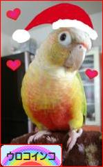 にほんブログ村 鳥ブログ ウロコインコへ
