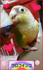 にほんブログ村 鳥ブログ ウロコインコへ